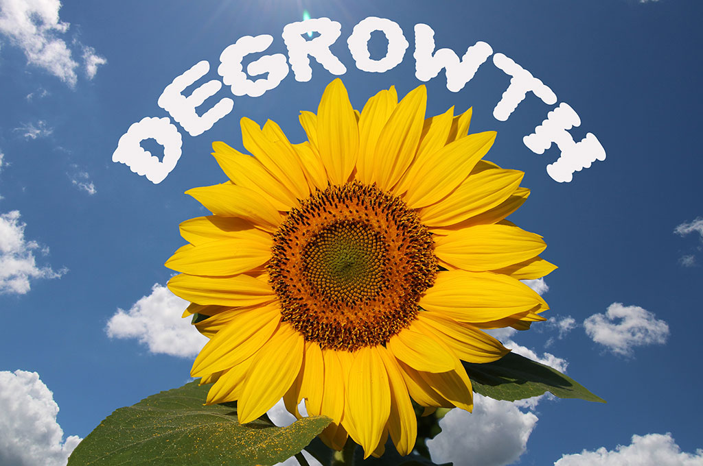 Eine Sonnenblume vor einem blaune Himmel mit einer Beschriftung darüber "DEGROWTH"